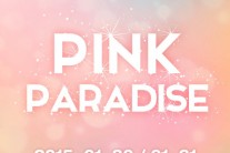 에이핑크, 데뷔 4년만의 첫 단독콘서트 개최 ‘핑크 파라다이스’