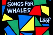 日 포스트록 밴드 레이프, 앨범 ‘Frog Songs For Whales’ 발매