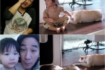 ‘해피선데이’, ’1박2일’ 결방에도 日 예능 1위 ‘굳건’