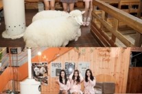 [이슈인터뷰]“양띠 모여라”…아영-지율-우희, 달샤벳으로 뭉친 우리