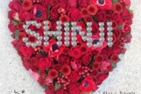 코요태 신지, 오늘(15일) 솔로곡 ‘늦은 후회’ 발매