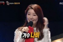 황금락카 2대 복면가왕으로…나비 최종무대서 패