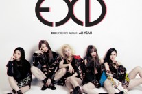 걸그룹 생태계속의 EXID 서바이벌 전략