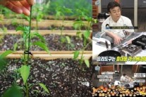 ‘마리텔’ 백종원, 심의규정 위반 판정 스튜디오 밖에 쫓겨난 이유 알고 봤더니..’헉’