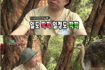 ‘무한도전’ 박명수, 타조에게 점심 빼앗기고 울상