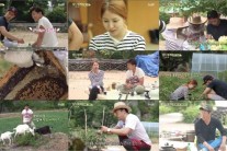 ‘삼시세끼’보아, 게스트로 자연스럽다 vs낯설다