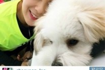 컴백 채연, 영원히 고통받는 과거 눈물 셀카 패러디…“난.. ㄱ ㅏ끔 강아지와” 폭소