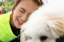 채연 신곡 공개…눈물 셀카 패러디