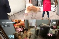 ‘우리집’ 이용녀, 이지애 개 소리에 깜짝 놀라 ‘개집에 사람이 얹혀 사는 격’