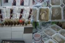 초복, 최지우 팬클럽의 통 큰 선물 ‘삼계탕만 150인분 대단해~’