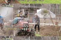 ‘삼시세끼’ 이서진, 하트 안에 최지우 이름 써놓자…‘해맑은 미소’