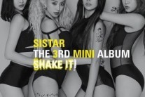 권정열 호흡 소유, 씨스타 멤버 치킨 비유 “다솜은 치킨무”