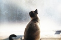 싱어송라이터 미유, 싱글 ‘어느 맑은 날’ 발매