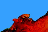 정차식, 정규 3집 ‘집행자’ 10일 발표