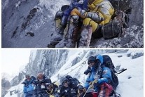 ‘히말라야’ 내일(16일) 개봉 앞두고 예매율 고공행진! ‘흥행 초읽기’