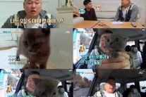 마리와 나 ‘토토아빠’ 강호동 “사실 제일 무서워하는 동물 고양이”