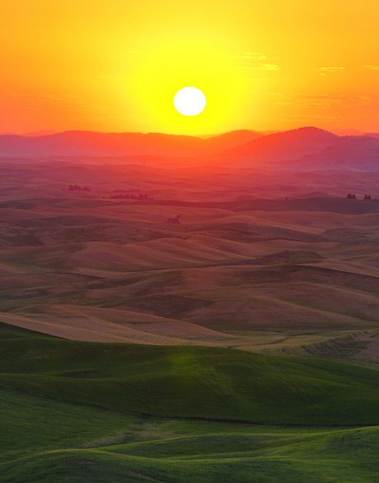 Palouse Sunrise-1-1-2016-1