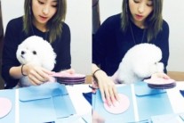 씨스타 보라, 우주소녀  폭풍 애정 과시 “손수 CD 작업했다”