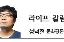 [라이프 칼럼] ‘사이다’가 필요하다면 투표해 – 정덕현 문화평론가