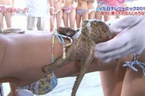 촉수에 능욕당하는 아이돌…“성진국판 ‘무한도전’”