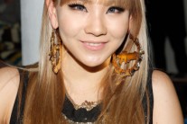 2NE1 씨엘 아빠 이기준 교수 “채린, 지하철에서 동네 불량배들한테~”