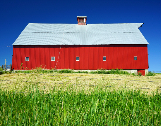 2016-7-1-Red Barn