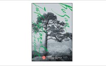새살 돋은 BIFF…지금, 다시 영화로 말하다
