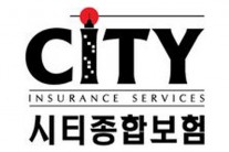 시티보험 주류 대형 보험사와 매각협상 중