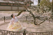 ‘관심병’ 예정화, 이번엔 100년 된 ‘와룡매’ 훼손