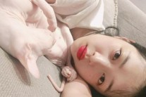 설리, 이번엔 반려묘 깨물어…또 동물학대?