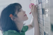 [서병기 연예톡톡]아이유가 복고를 재해석하는 방식