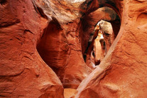 [양희관의 아름다운 세상]피카부 슬럿 캐년(Peek-A-Boo Slot Canyon)