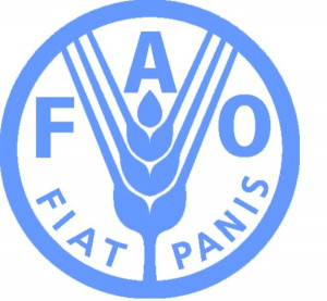 food-and-agriculture-organization-of-the-united-nations