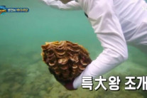 이열음 국민청원 등장…“배우 잘못 아니다, 정글 제작진 엄벌 요구”