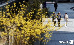 전국이 맑고 포근한 봄 날씨를 보인 23일 서울 청계천에서 외국인 관광객들이 산책을 하고 있다. (뉴스1)