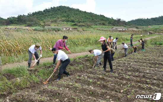 홍수·태풍 복구에 바쁜 북한, 농작물 피해 최소화에 집중