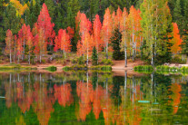 [양희관의 아름다운 세상]아스펜 미러 레이크(Aspen Mirror Lake)