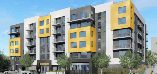 올림픽 마리포사