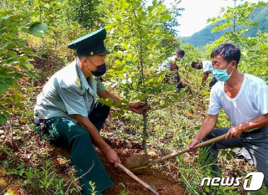 전국적 산림복구 진행하는 북한 '유훈 관철이자 당 정책 옹위'