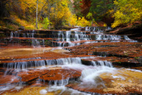 [양희관의 아름다운 세상] 써브웨이 캐년의 레프트 폭 노스 크릭(Left Fork North Creek)