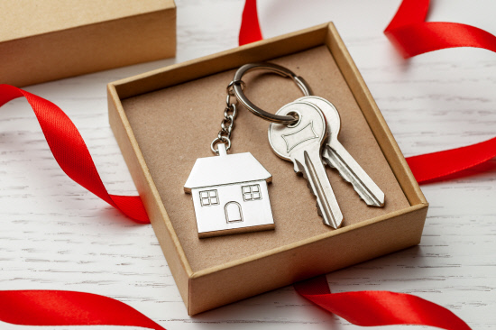 Keychain house and keys with red ribbon