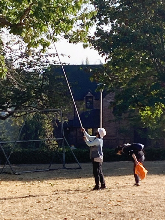 공원에서 밤따는 시애틀 한인