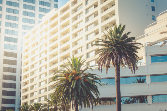 Santa Monica office buildings with palms