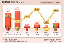 사과 이어 귤·바나나까지…‘금(金) 과일’ 언제까지?