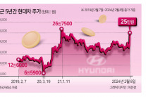 현대차 주가 3주간 38% 급등…역대 최고치 경신 주목