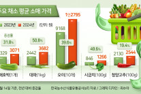 애호박 하나가 3000원…치솟는 채소값, 장보기 무섭다 [푸드360]