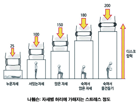 허리디스크 사진(800600)