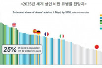 ‘10명 중 4명이 비만’ 미국 비만 시장의 성장