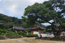 근현대사 눈물 간직한 강화도…최고(最古) 사찰 전등사 [정용식의 내 마음대로 사찰여행 비경 100선]