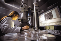 R＆D 예산 내년 29조7000억원, ‘역대 최대’ 수준 회복 [2025 예산안]